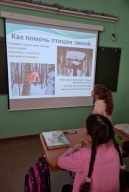 Экологическая акция «Дом на дереве»