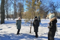 Международный день кормления птиц