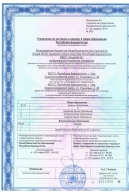 Школьный спортивный клуб «Чемпион»